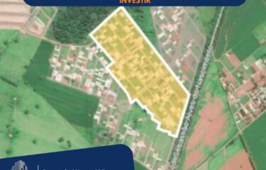 Terreno Jardim Europa